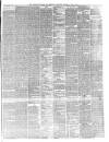 Teviotdale Record and Jedburgh Advertiser Saturday 27 July 1878 Page 3