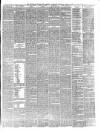 Teviotdale Record and Jedburgh Advertiser Saturday 17 August 1878 Page 3