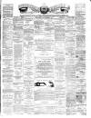 Teviotdale Record and Jedburgh Advertiser Saturday 23 November 1878 Page 1