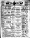 Teviotdale Record and Jedburgh Advertiser Saturday 17 January 1880 Page 1
