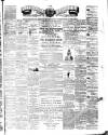 Teviotdale Record and Jedburgh Advertiser Saturday 01 January 1881 Page 1