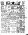 Teviotdale Record and Jedburgh Advertiser Saturday 08 January 1881 Page 1