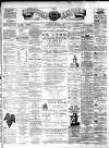 Teviotdale Record and Jedburgh Advertiser Saturday 05 March 1881 Page 1