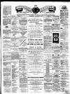 Teviotdale Record and Jedburgh Advertiser Saturday 07 January 1882 Page 1