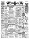 Teviotdale Record and Jedburgh Advertiser Saturday 10 January 1885 Page 1