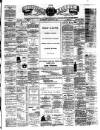 Teviotdale Record and Jedburgh Advertiser Saturday 15 August 1885 Page 1