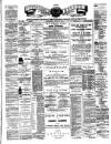 Teviotdale Record and Jedburgh Advertiser Saturday 12 June 1886 Page 1