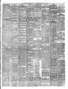 Teviotdale Record and Jedburgh Advertiser Saturday 12 June 1886 Page 3