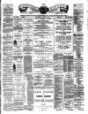 Teviotdale Record and Jedburgh Advertiser Saturday 19 June 1886 Page 1