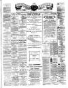 Teviotdale Record and Jedburgh Advertiser Saturday 18 December 1886 Page 1
