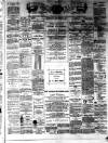 Teviotdale Record and Jedburgh Advertiser Saturday 05 November 1887 Page 1