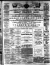 Teviotdale Record and Jedburgh Advertiser Saturday 01 March 1890 Page 1