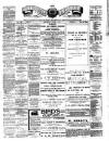 Teviotdale Record and Jedburgh Advertiser Saturday 17 June 1893 Page 1