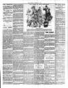 Cleveland Standard Saturday 21 November 1908 Page 3