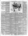 Cleveland Standard Saturday 12 December 1908 Page 5