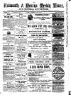 Cornish Echo and Falmouth & Penryn Times Saturday 30 July 1864 Page 1