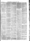 Cornish Echo and Falmouth & Penryn Times Saturday 04 February 1865 Page 3