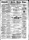 Cornish Echo and Falmouth & Penryn Times Saturday 03 June 1865 Page 1
