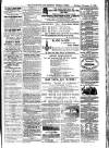 Cornish Echo and Falmouth & Penryn Times Saturday 10 November 1866 Page 5