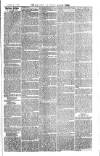 Cornish Echo and Falmouth & Penryn Times Saturday 16 May 1868 Page 3