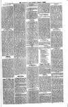 Cornish Echo and Falmouth & Penryn Times Saturday 16 May 1868 Page 5