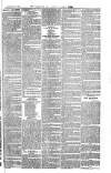 Cornish Echo and Falmouth & Penryn Times Saturday 16 May 1868 Page 7