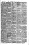 Cornish Echo and Falmouth & Penryn Times Saturday 30 May 1868 Page 7