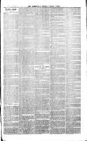 Cornish Echo and Falmouth & Penryn Times Saturday 09 January 1869 Page 7