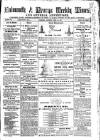Cornish Echo and Falmouth & Penryn Times Saturday 24 April 1869 Page 1