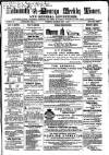 Cornish Echo and Falmouth & Penryn Times Saturday 03 July 1869 Page 1