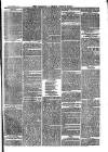 Cornish Echo and Falmouth & Penryn Times Saturday 07 May 1870 Page 3