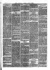 Cornish Echo and Falmouth & Penryn Times Saturday 31 December 1870 Page 3