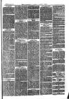 Cornish Echo and Falmouth & Penryn Times Saturday 21 January 1871 Page 7