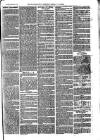 Cornish Echo and Falmouth & Penryn Times Saturday 15 March 1873 Page 3