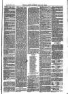 Cornish Echo and Falmouth & Penryn Times Saturday 17 May 1873 Page 3