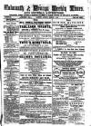 Cornish Echo and Falmouth & Penryn Times Saturday 03 January 1874 Page 1
