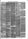 Cornish Echo and Falmouth & Penryn Times Saturday 17 January 1874 Page 7