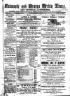 Cornish Echo and Falmouth & Penryn Times Saturday 02 January 1875 Page 1