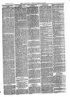Cornish Echo and Falmouth & Penryn Times Saturday 03 April 1875 Page 3