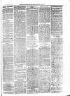 Cornish Echo and Falmouth & Penryn Times Saturday 12 June 1875 Page 3