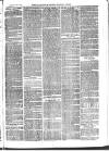 Cornish Echo and Falmouth & Penryn Times Saturday 03 July 1875 Page 3