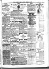 Cornish Echo and Falmouth & Penryn Times Saturday 03 July 1875 Page 5
