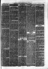 Cornish Echo and Falmouth & Penryn Times Saturday 17 February 1877 Page 7