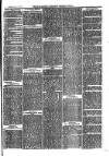 Cornish Echo and Falmouth & Penryn Times Saturday 17 March 1877 Page 7