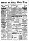 Cornish Echo and Falmouth & Penryn Times Saturday 12 January 1878 Page 1