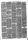 Cornish Echo and Falmouth & Penryn Times Saturday 28 February 1880 Page 3