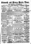 Cornish Echo and Falmouth & Penryn Times Saturday 10 July 1880 Page 1