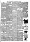 Cornish Echo and Falmouth & Penryn Times Saturday 10 July 1880 Page 5