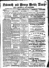Cornish Echo and Falmouth & Penryn Times Saturday 31 July 1880 Page 1