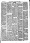 Cornish Echo and Falmouth & Penryn Times Saturday 01 November 1884 Page 3